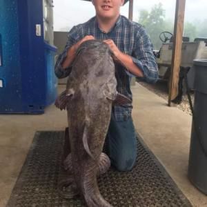 Meet your Posher, Ethan